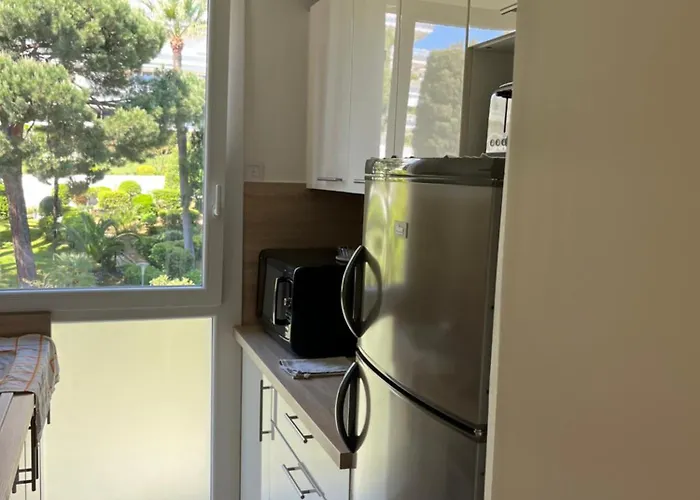 公寓 Charming Flat Close To 戛纳