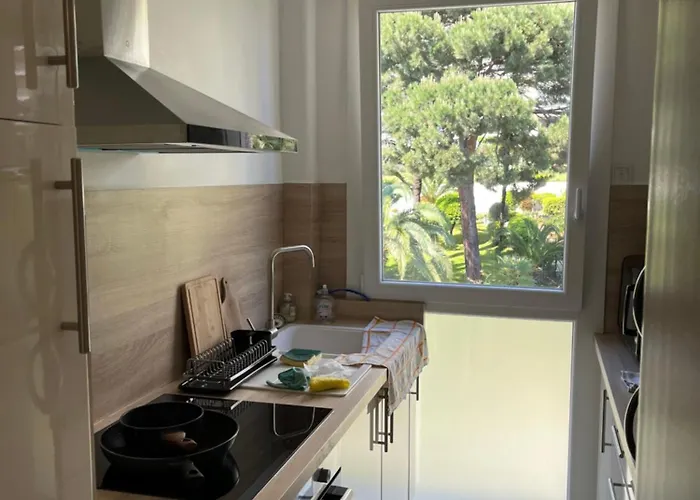 Charming Flat Close To 戛纳